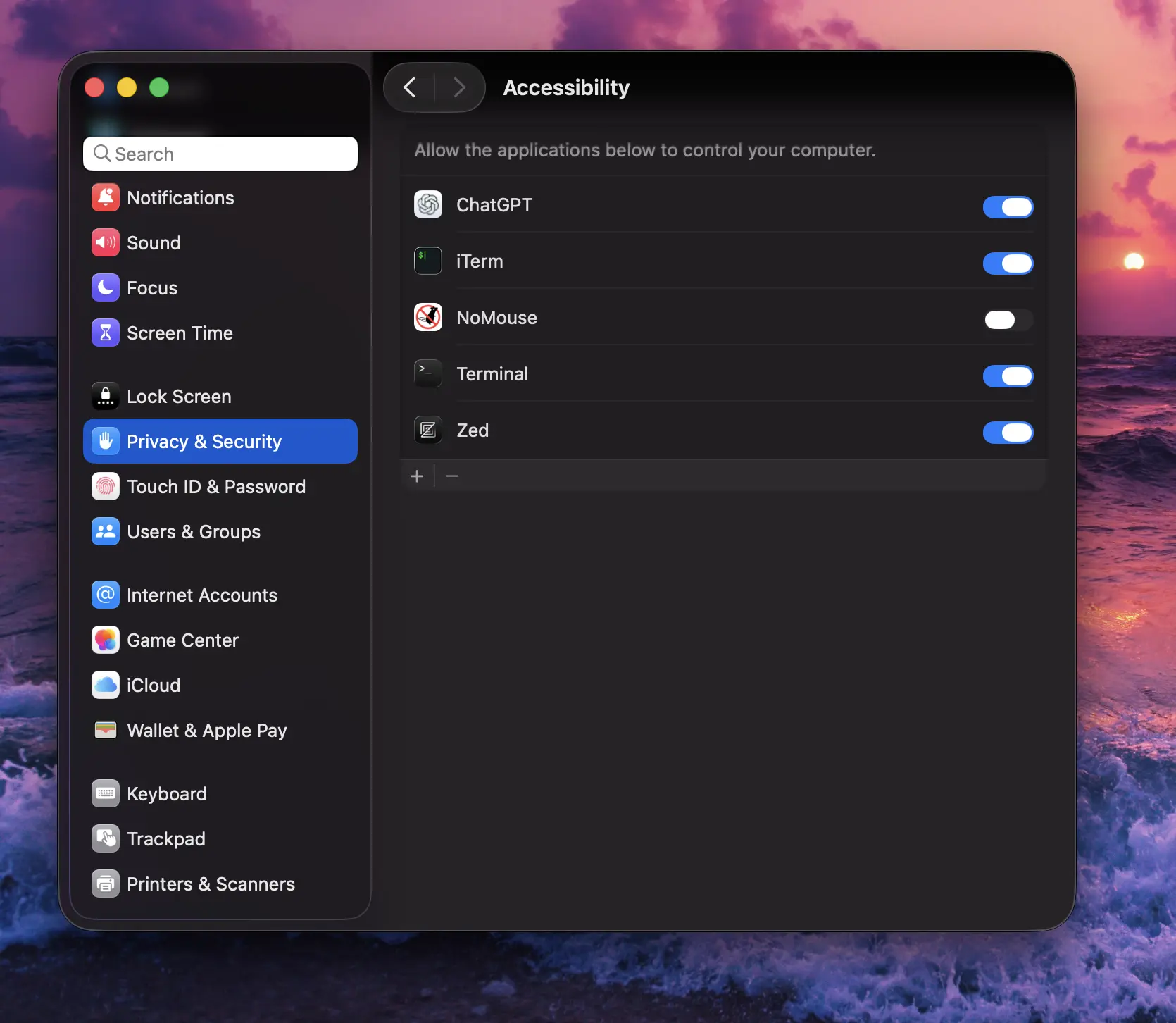 give NoMouse accessibility permissions